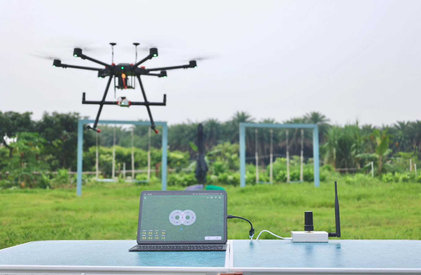 图片关键词 图片关键词