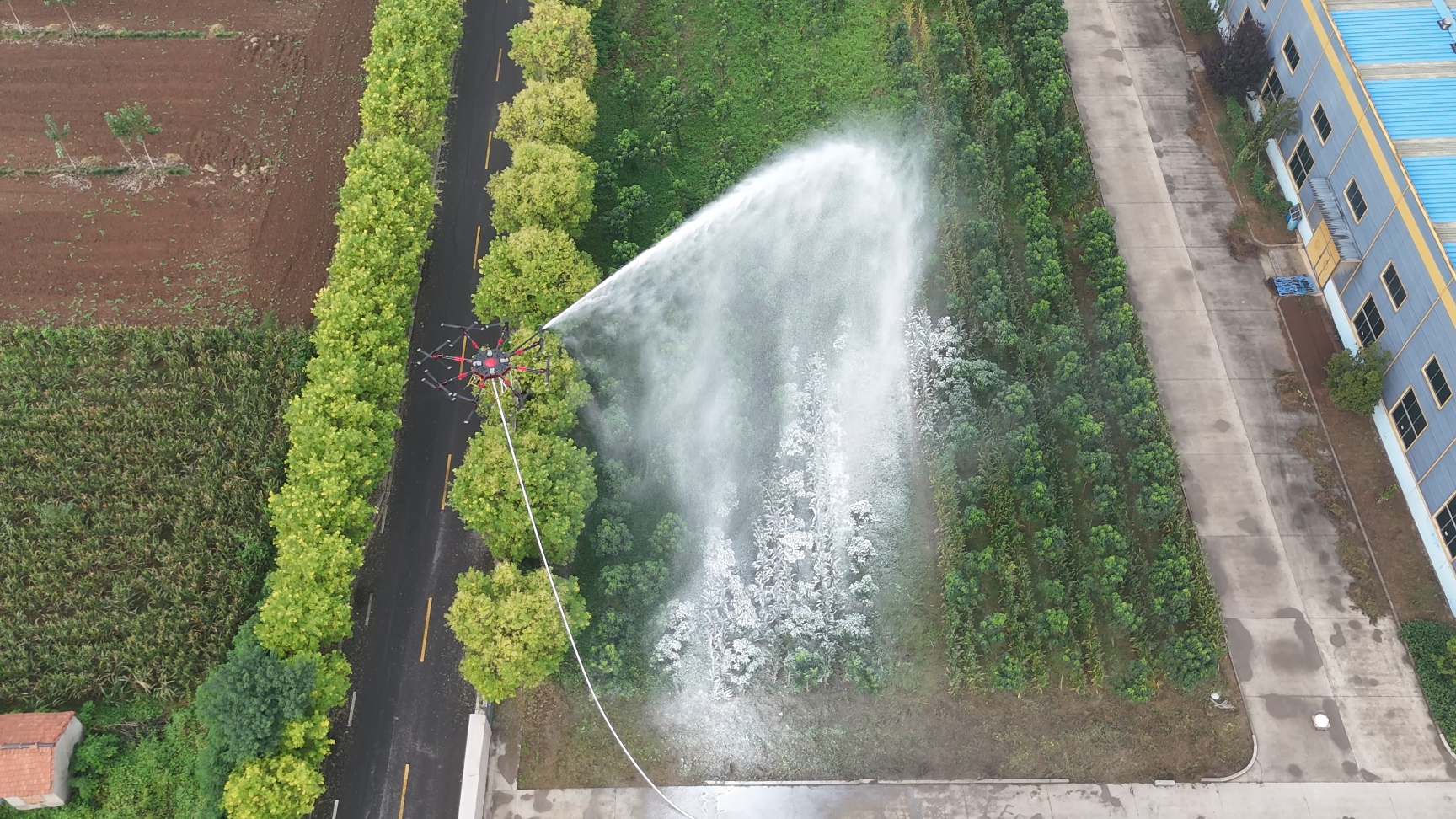图片关键词 图片关键词
